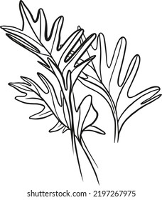 leaves vector illustration art design