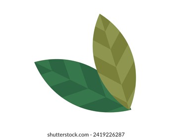 Leaves vector illustration. In botanical realm, leaves and foliage symbolize very essence life Growing garden is journey exploration into intricate world leaves Leaves grow gracefully, weaving vibrant