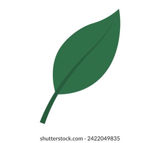 Leaves vector illustration. In botanical realm, leaves and foliage symbolize very essence life Growing garden is journey exploration into intricate world leaves Leaves grow gracefully, intertwining