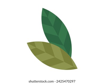 Leaves vector illustration. The leaves concept illuminates rich diversity and beauty foliate arrangements Natural botanical wonders come to life as leaves sprout and plants bloom In realm botany
