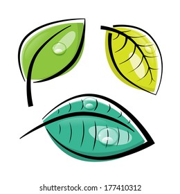 Leaves Vector Illustration Isolated on White Background