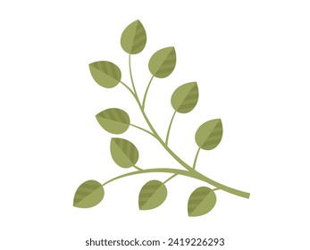 Leaves vector illustration. In realm botany, leaves and foliage embody very essence life Growing garden instills deep appreciation for intricate world leaves Leaves grow and intertwine, creating lush