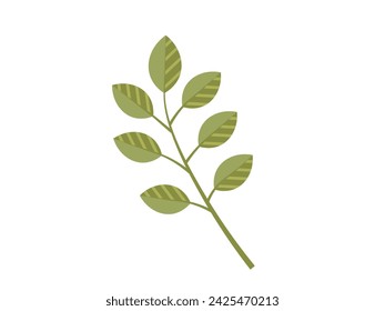 Leaves vector illustration. In realm botany, leaves and foliage embody very essence life Growing garden instills deep appreciation for intricate world leaves Leaves grow and intertwine, creating