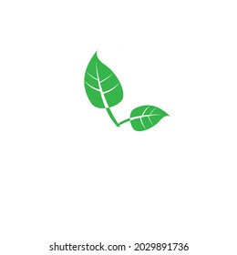 leaves vector image or illustration or clipart or logo