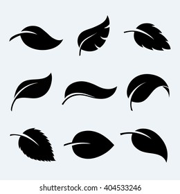 Leaves vector set isolated from the background. Leaves icon different shapes in modern flat style. 