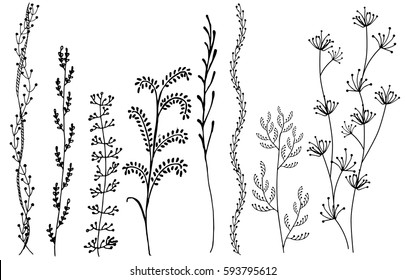 Leaves vector set isolated from the background. Collection black silhouettes of leaves. Leaves icon different shapes in modern flat style. Simple leaves tree.