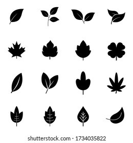 Leaves Vector Set Isolated On White Stock Vector (Royalty Free ...