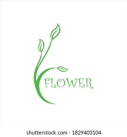 Leaves vector set isolated on white background. Various shapes of green leaves of trees and plants. Elements for eco and bio logos.
