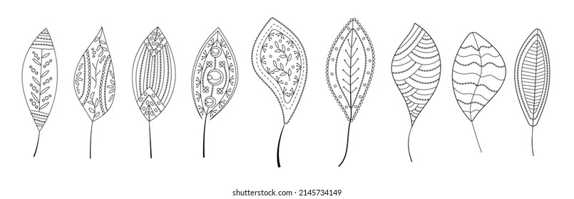 Deja el vector establecido en el estilo de arte de línea. Hojas tribales étnicas en un estilo dibujado a mano con adorno boho para envolver papel, papel pintado, textil, logo, tela, página de color.