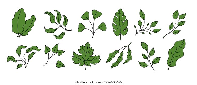 Leaves vector sketch set. Hand drawn decorative elements, isolated on white background. Botanical illustration in doodle style