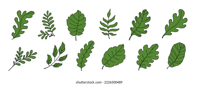 Leaves vector sketch set. Hand drawn decorative elements, isolated on white background. Botanical illustration in doodle style