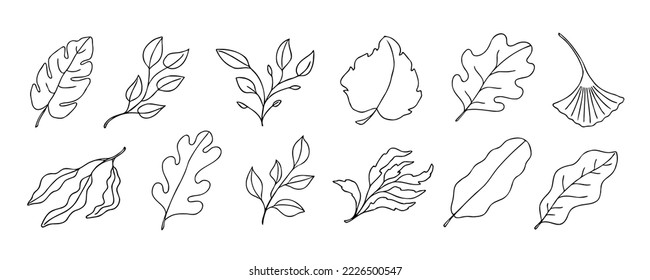Leaves vector sketch set. Hand drawn decorative elements, isolated on white background. Botanical illustration in doodle style