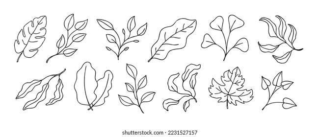 Leaves vector sketch set. Hand drawn decorative elements, isolated on white background. Botanical illustration in doodle style