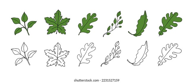 Deja un conjunto de esbozo vectorial. Elementos decorativos dibujados a mano, aislados en un fondo blanco. Ilustración botánica en estilo doodle