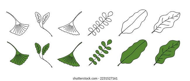 Deja un conjunto de esbozo vectorial. Elementos decorativos dibujados a mano, aislados en un fondo blanco. Ilustración botánica en estilo doodle