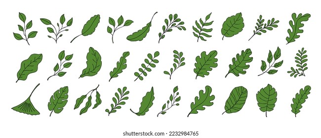 Leaves vector sketch set. Hand drawn decorative elements, isolated on white background. Botanical illustration in doodle style