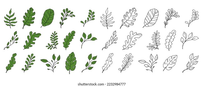 Leaves vector sketch set. Hand drawn decorative elements, isolated on white background. Botanical illustration in doodle style