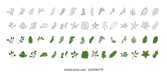 Leaves vector sketch set. Hand drawn decorative elements, isolated on white background. Botanical illustration in doodle style