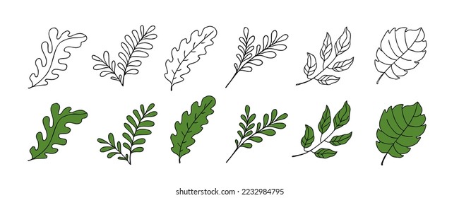 Leaves vector sketch set. Hand drawn decorative elements, isolated on white background. Botanical illustration in doodle style