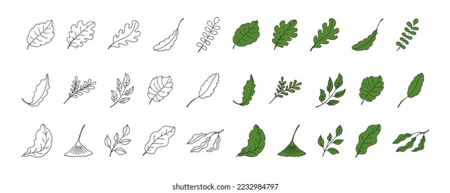 Leaves vector sketch set. Hand drawn decorative elements, isolated on white background. Botanical illustration in doodle style
