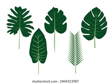 leaves vector summer tropics abstract design
