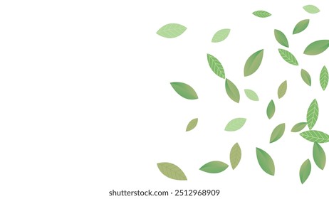 Leaves Vector White Background Illustration. Fresh Greens Template. Grassy Leaf Brochure, Green flying leaves wave,nature Day
