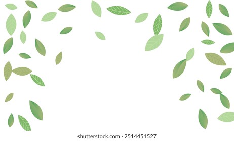 Leaves Vector White Background Illustration. Fresh Greens Template. Grassy Leaf Brochure, Green flying leaves wave,nature Day
