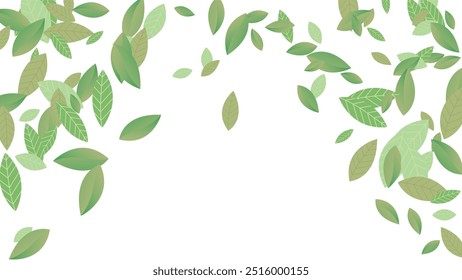 Leaves Vector White Background Illustration. Fresh Greens Template. Grassy Leaf Brochure, Green flying leaves wave,nature Day
