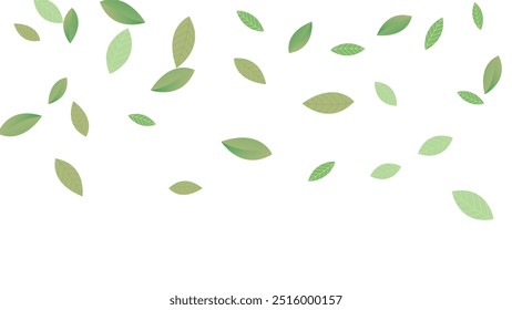 Leaves Vector White Background Illustration. Fresh Greens Template. Grassy Leaf Brochure, Green flying leaves wave,nature Day
