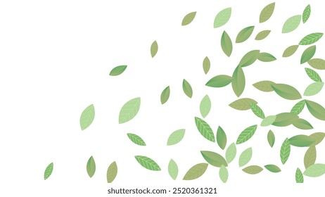 Leaves Vector White Background Illustration. Fresh Greens Template. Grassy Leaf Brochure, Green flying leaves wave,nature Day
