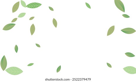 Leaves Vector White Background Illustration. Fresh Greens Template. Grassy Leaf Brochure, Green flying leaves wave,nature Day
