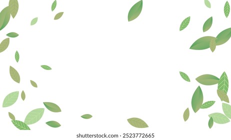 Leaves Vector White Background Illustration. Fresh Greens Template. Grassy Leaf Brochure, Green flying leaves wave,nature Day
