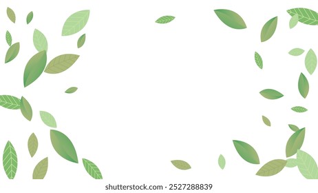 Leaves Vector White Background Illustration. Fresh Greens Template. Grassy Leaf Brochure, Green flying leaves wave,nature Day
