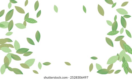 Leaves Vector White Background Illustration. Fresh Greens Template. Grassy Leaf Brochure, Green flying leaves wave,nature Day
