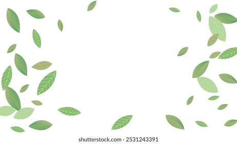 Leaves Vector White Background Illustration. Fresh Greens Template. Grassy Leaf Brochure, Green flying leaves wave,nature Day
