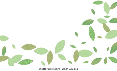 Leaves Vector White Background Illustration. Fresh Greens Template. Grassy Leaf Brochure, Green flying leaves wave,nature Day
