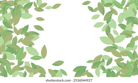 Leaves Vector White Background Illustration. Fresh Greens Template. Grassy Leaf Brochure, Green flying leaves wave,nature Day
