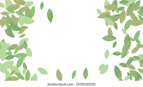 Leaves Vector White Background Illustration. Fresh Greens Template. Grassy Leaf Brochure, Green flying leaves wave,nature Day
