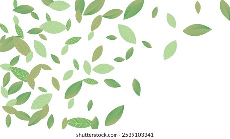 Leaves Vector White Background Illustration. Fresh Greens Template. Grassy Leaf Brochure, Green flying leaves wave,nature Day
