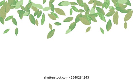 Leaves Vector White Background Illustration. Fresh Greens Template. Grassy Leaf Brochure, Green flying leaves wave,nature Day
