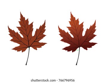 Leaves vectorial illustration