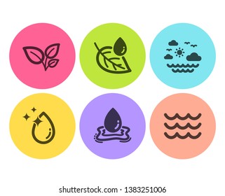 Leaves, Water drop and Leaf dew icons simple set. Travel sea, Water splash and Waves signs. Grow plant, Crystal aqua. Nature set. Flat leaves icon. Circle button. Vector