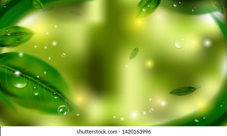 leaves and Water drop, Nature concept, natural background