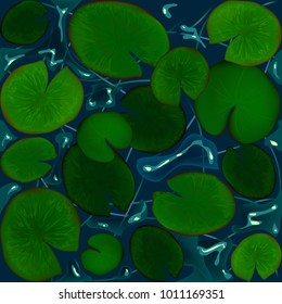Leaves of the water lily. Lake. Swamp