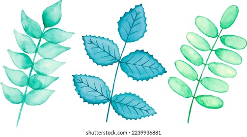 Leaves Watercolor Hand Drawn. Set of green leaf in watercolor  isolated on white background. Decorative beauty elegant illustration collection for design.