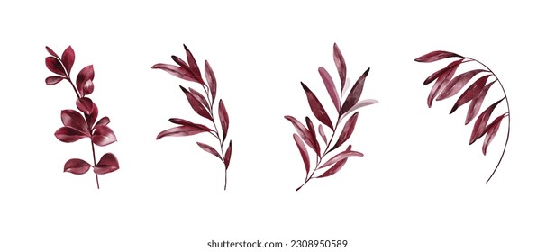 Leaves watercolor vector on white background. Collection magenta flowers, leaves, branches. Design for greetings, card, invitation, flyer, banner.