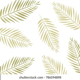 Leaves, White Background