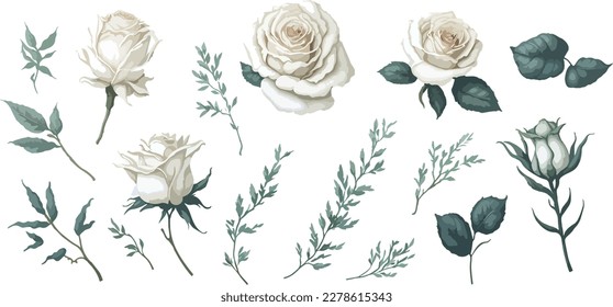 Hojas y rosas blancas. Una perfecta armonía de la naturaleza.