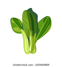 Leaves of wild garlic. Green lettuce leaves. Fresh vegetable for the menu. Icon. Isolated object. Vector illustration