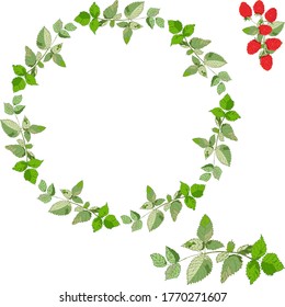 Leaves - wreath, round vector frame of leaves, raspberries on a festive frame